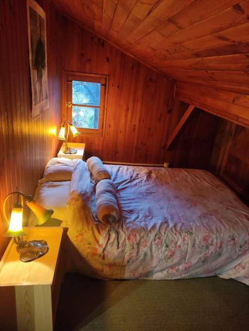 Chalet Accueillant Et Familial Saint-Martin-Vésubie Eksteriør billede